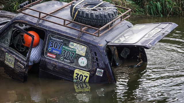与娱乐交融 与娱乐交融