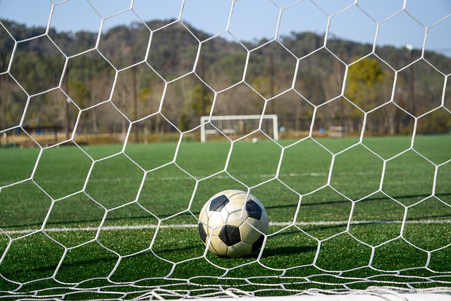 不仅是对一 不仅是对一