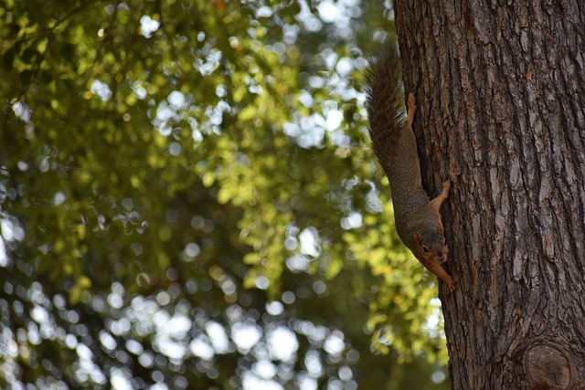 的舞台上 的舞台上