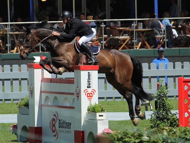 锡安的伤病 锡安的伤病